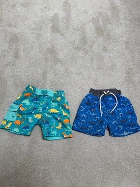 Boys 12-18 Month Dino Print Swim Shorts Set - Teal & Royal Blue
